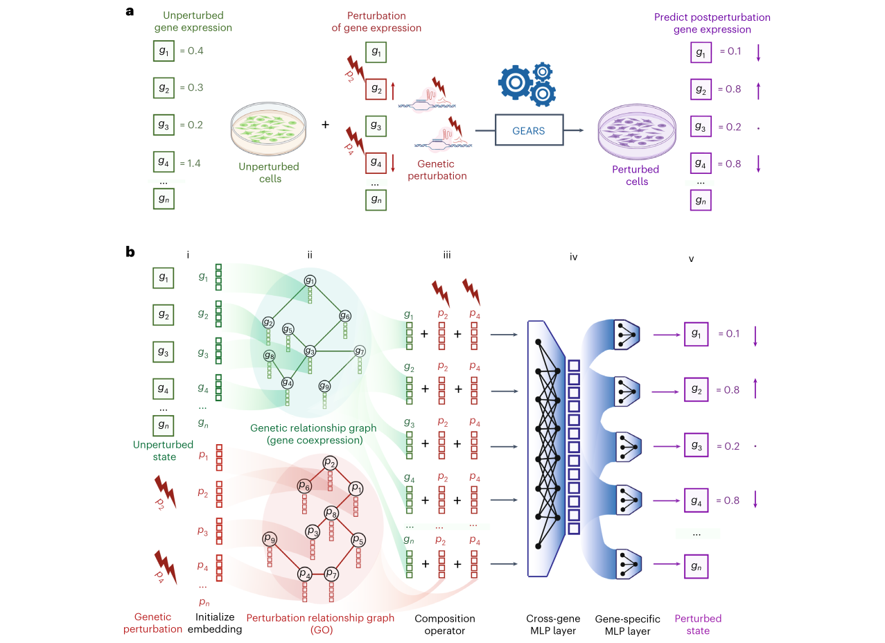GEARS architecture for perturbation prediction