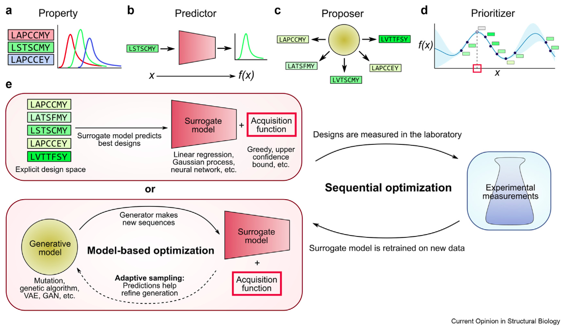 The iterative ML-guided protein engineering loop